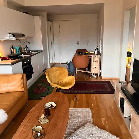Apartamento Seagull Holiday& Businnes Trondheim